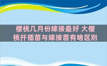 樱桃几月份嫁接最好 大樱桃扦插苗与嫁接苗有啥区别